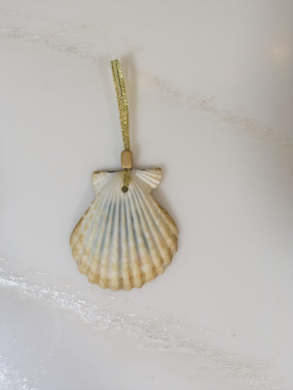 Sea Shell  Painted Ornaments