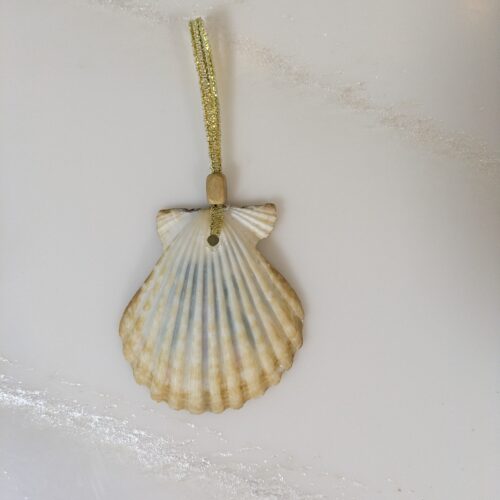 Sea Shell  Painted Ornaments