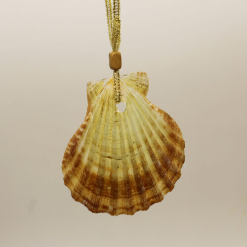 Sea Shell Ornaments