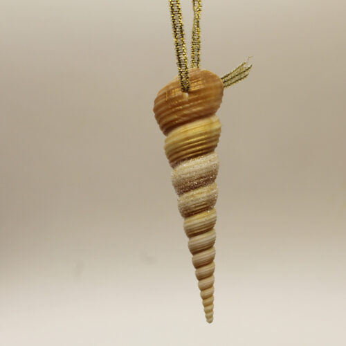 long pointed sea shell ornament