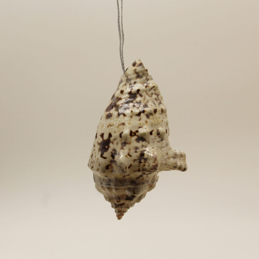 sea shell ornament black and white