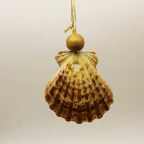 sea shell fan shaped