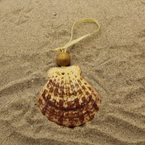 Sea Shell Ornaments