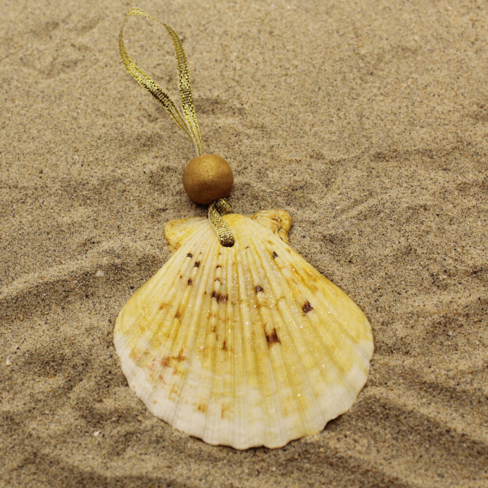 shell ornament in sand