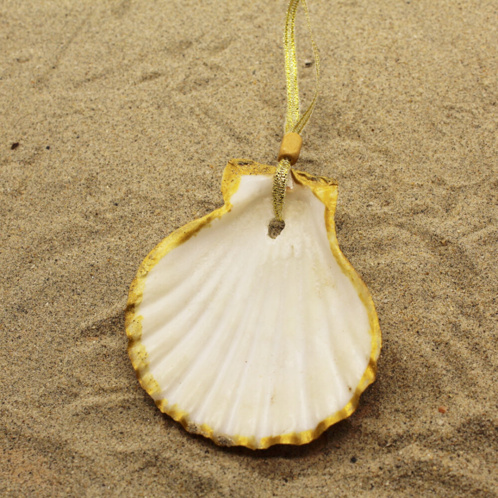 sea shell ornament underside