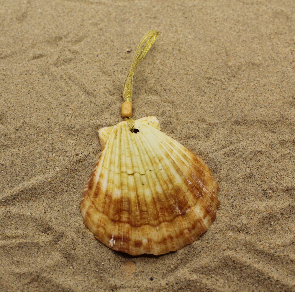 sea shell ornament in sand